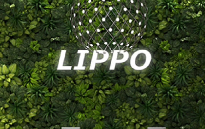 lippo